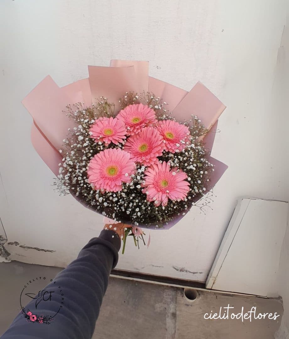 Ramo Gerberas Colores