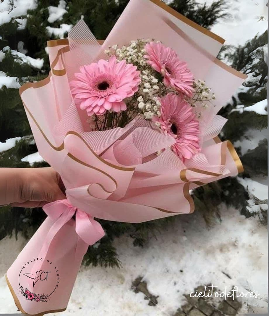 Ramo 3 Gerberas