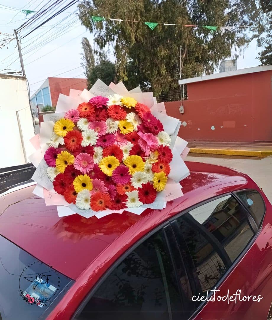Bouquet Gerberas Colores Buchón